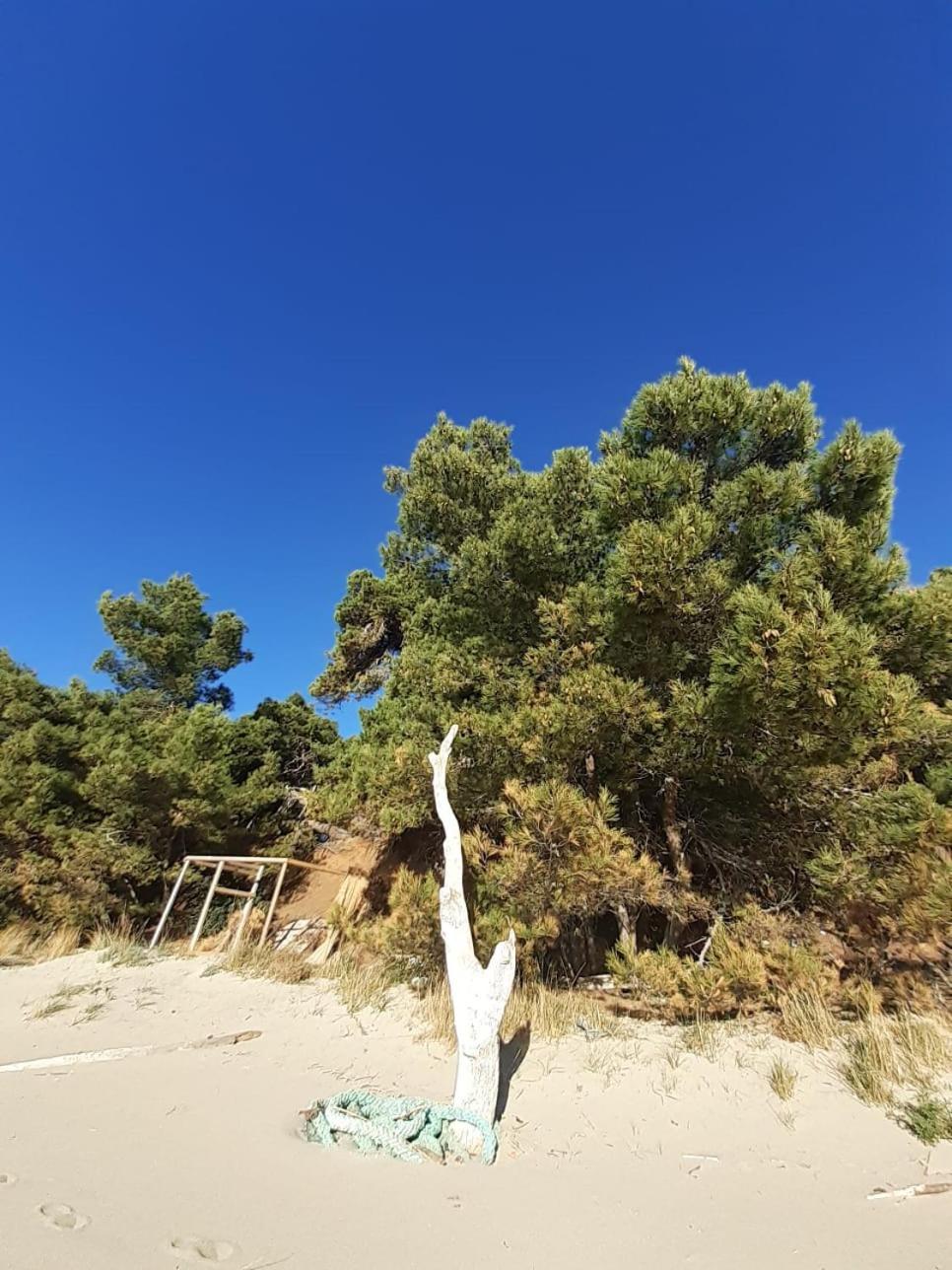 Apartment Nadine Mljet Mit Meerblick Okuklje Exteriér fotografie