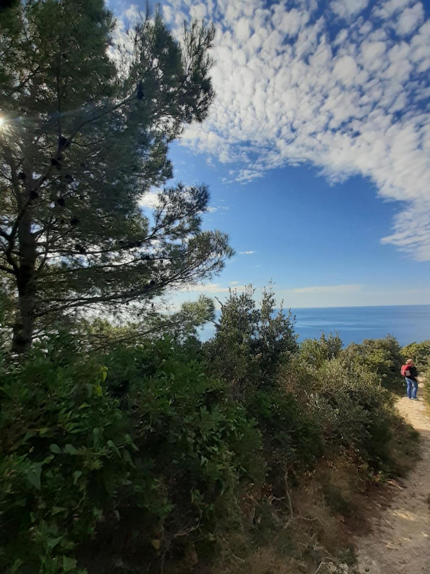 Apartment Nadine Mljet Mit Meerblick Okuklje Pokoj fotografie